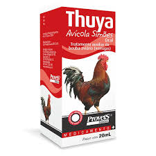 THUYA AVICOLA