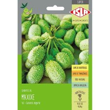 MAXIXE