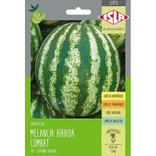 MELANCIA HIBRIDO COMBAT