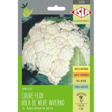 COUVE-FLOR INVERNO BOLA DE NEVE