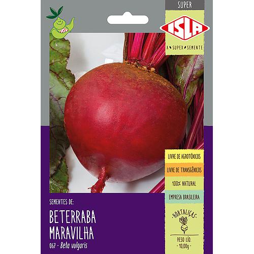 BETERRABA MARAVILHA