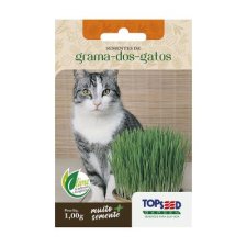 SEMENTES DE ERVAS GRAMA DOS GATOS