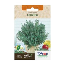 SEMENTES ERVAS TOMILHO