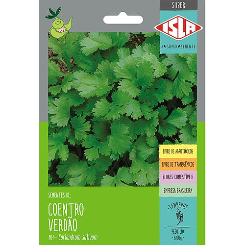 COENTRO VERDAO